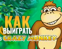 Crazy Monkey